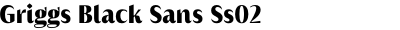 Griggs Black Sans Ss02